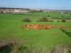 2010-17-autour du fromage-11